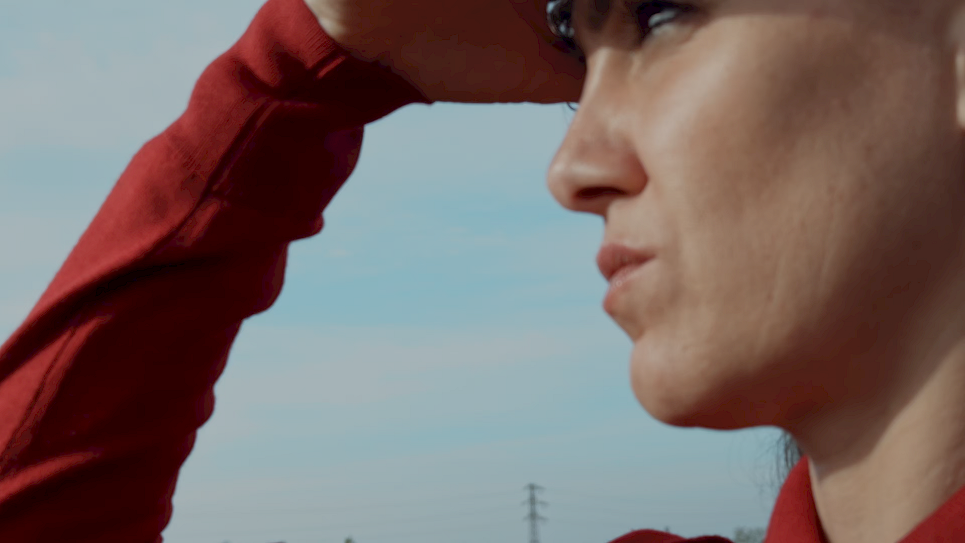 Carriera nel settore vendite: le migliori offerte di lavoro per professionisti delle vendite